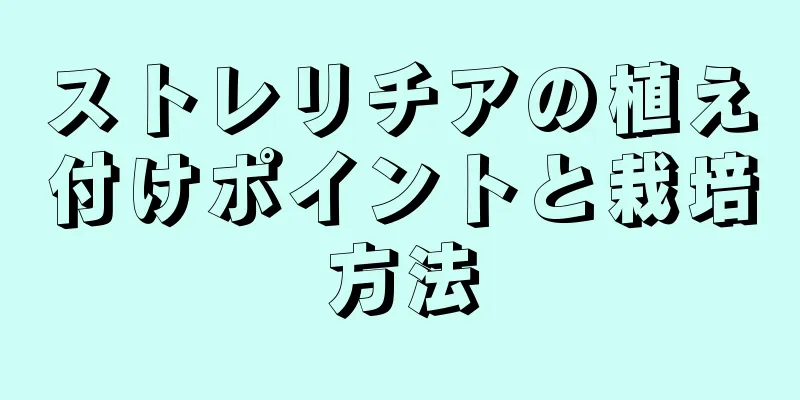 ストレリチアの植え付けポイントと栽培方法