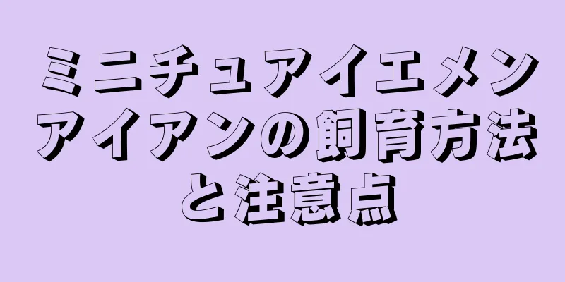 ミニチュアイエメンアイアンの飼育方法と注意点