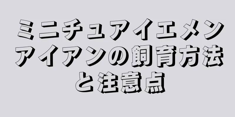 ミニチュアイエメンアイアンの飼育方法と注意点