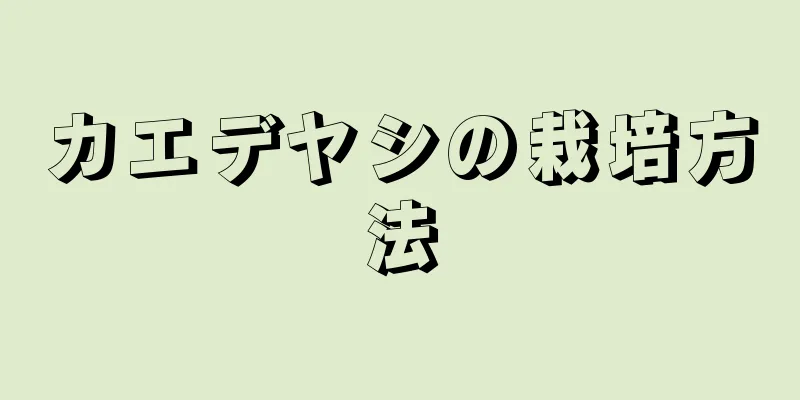 カエデヤシの栽培方法