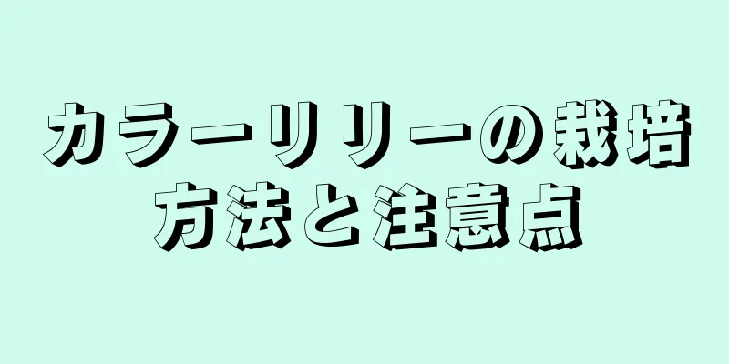 カラーリリーの栽培方法と注意点