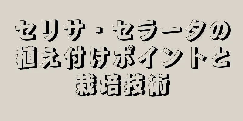 セリサ・セラータの植え付けポイントと栽培技術