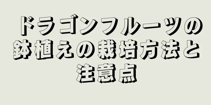 ドラゴンフルーツの鉢植えの栽培方法と注意点