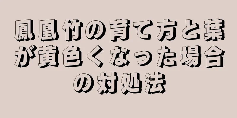 鳳凰竹の育て方と葉が黄色くなった場合の対処法