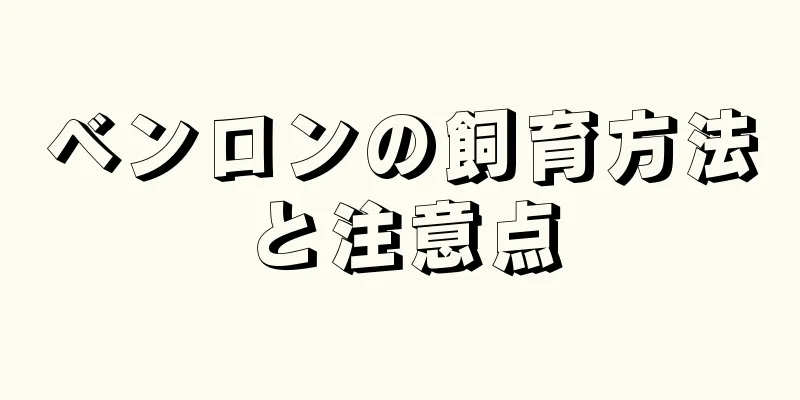 ベンロンの飼育方法と注意点
