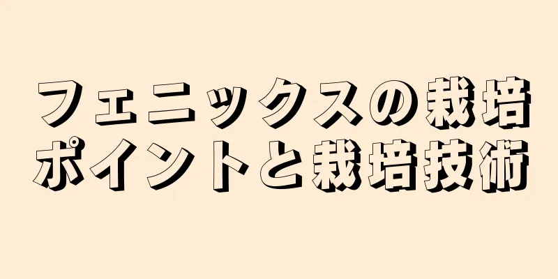 フェニックスの栽培ポイントと栽培技術