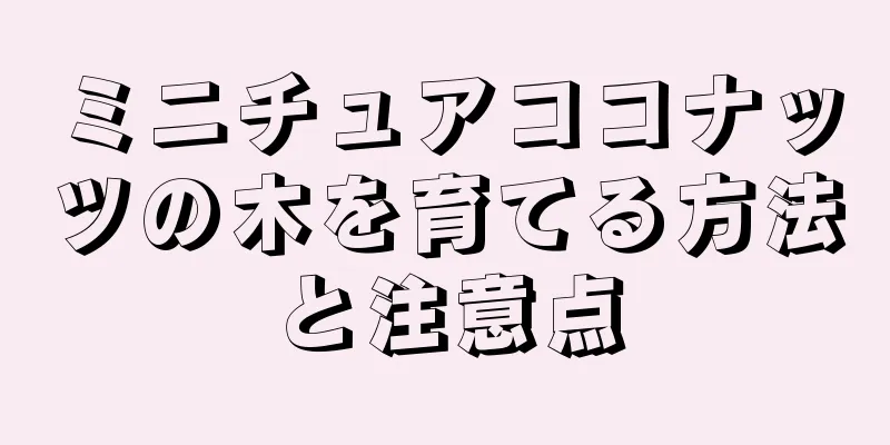 ミニチュアココナッツの木を育てる方法と注意点