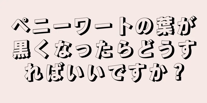 ペニーワートの葉が黒くなったらどうすればいいですか？