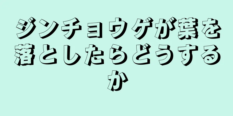 ジンチョウゲが葉を落としたらどうするか