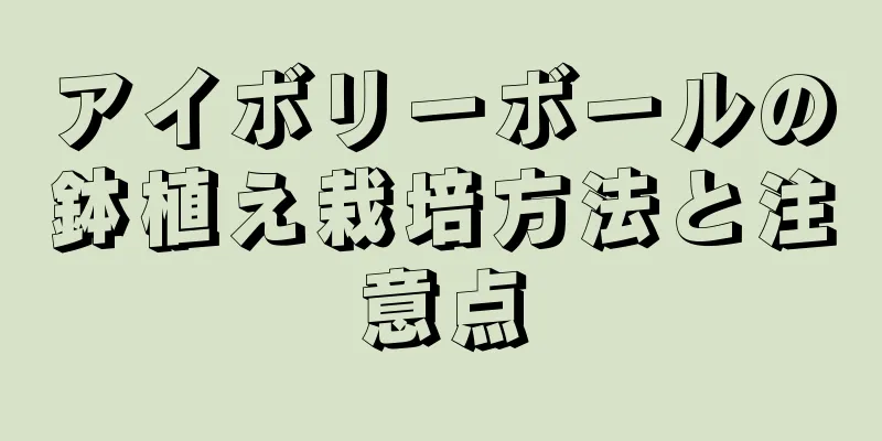 アイボリーボールの鉢植え栽培方法と注意点