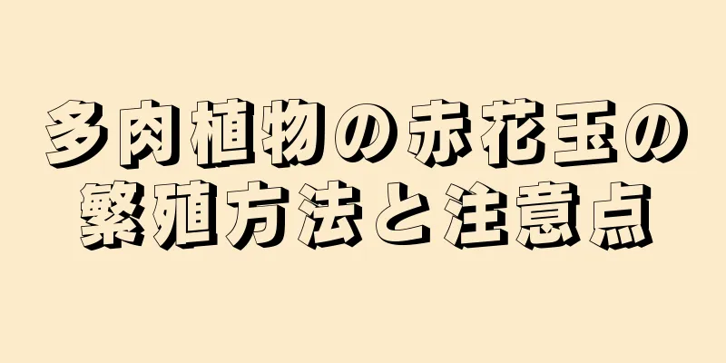 多肉植物の赤花玉の繁殖方法と注意点