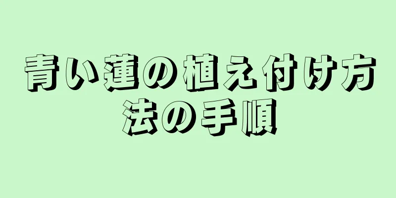 青い蓮の植え付け方法の手順