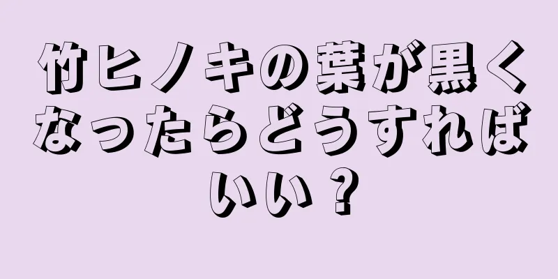 竹ヒノキの葉が黒くなったらどうすればいい？