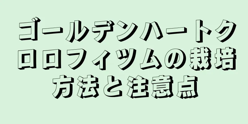 ゴールデンハートクロロフィツムの栽培方法と注意点