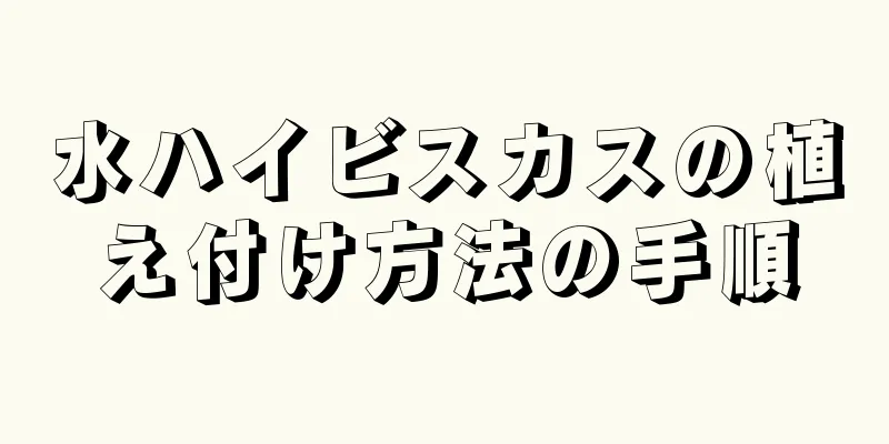 水ハイビスカスの植え付け方法の手順