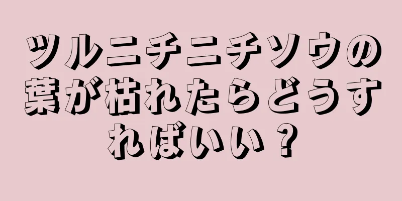 ツルニチニチソウの葉が枯れたらどうすればいい？
