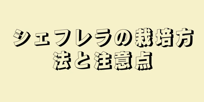 シェフレラの栽培方法と注意点