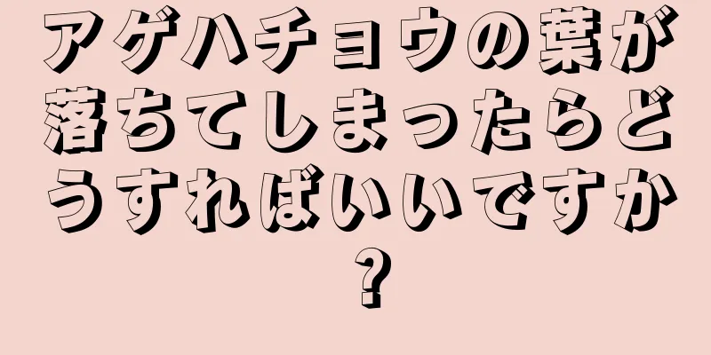 アゲハチョウの葉が落ちてしまったらどうすればいいですか？