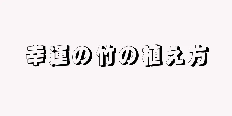 幸運の竹の植え方