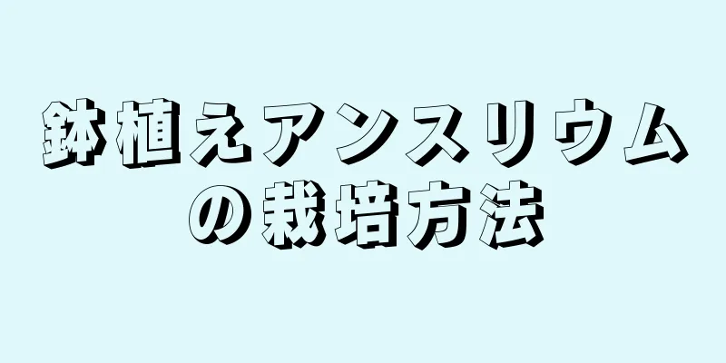 鉢植えアンスリウムの栽培方法