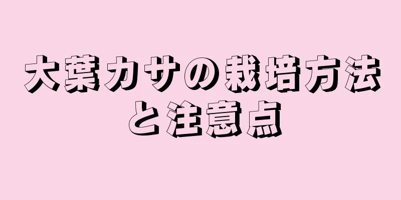 大葉カサの栽培方法と注意点