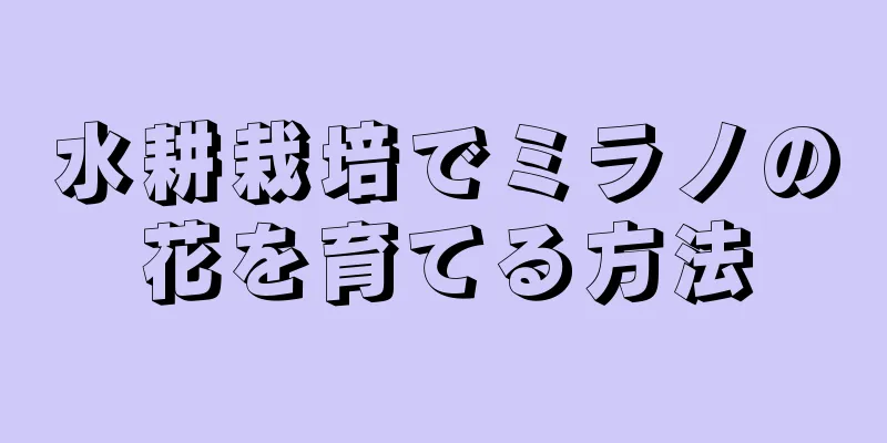 水耕栽培でミラノの花を育てる方法