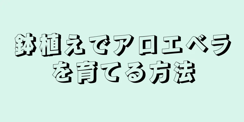 鉢植えでアロエベラを育てる方法