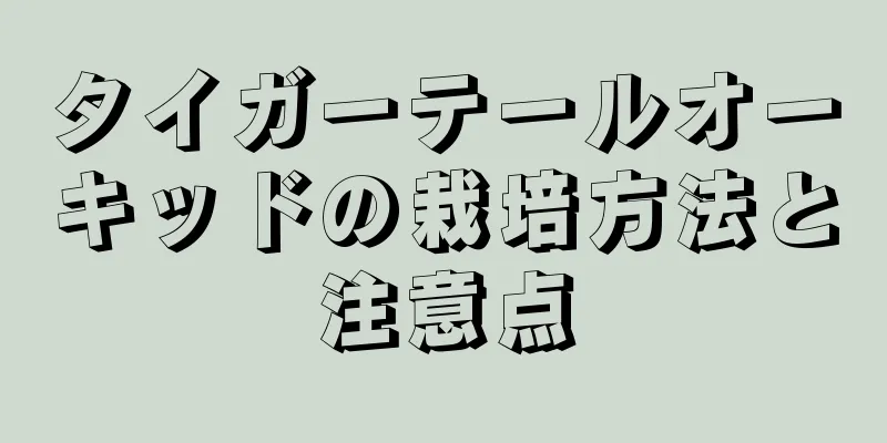 タイガーテールオーキッドの栽培方法と注意点