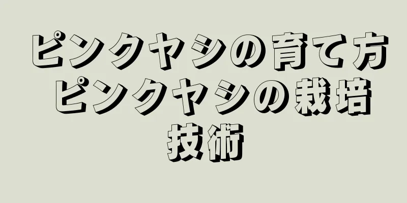 ピンクヤシの育て方 ピンクヤシの栽培技術