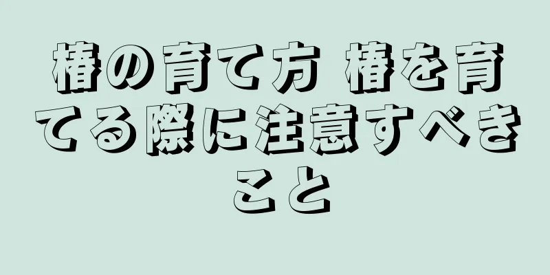 椿の育て方 椿を育てる際に注意すべきこと