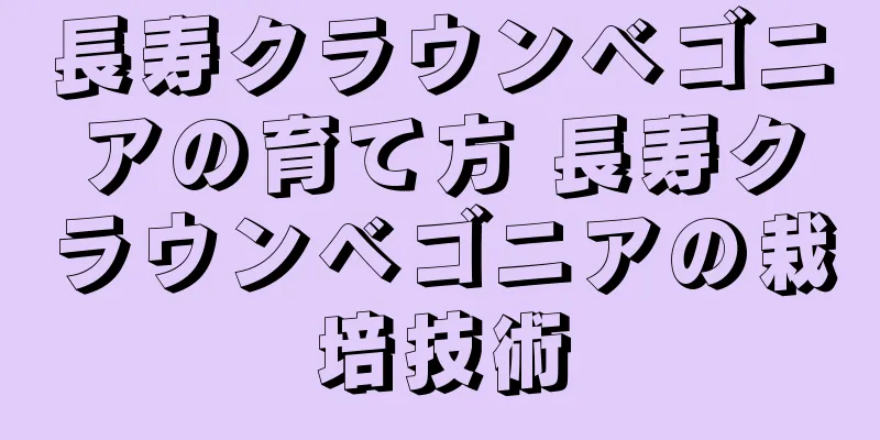 長寿クラウンベゴニアの育て方 長寿クラウンベゴニアの栽培技術