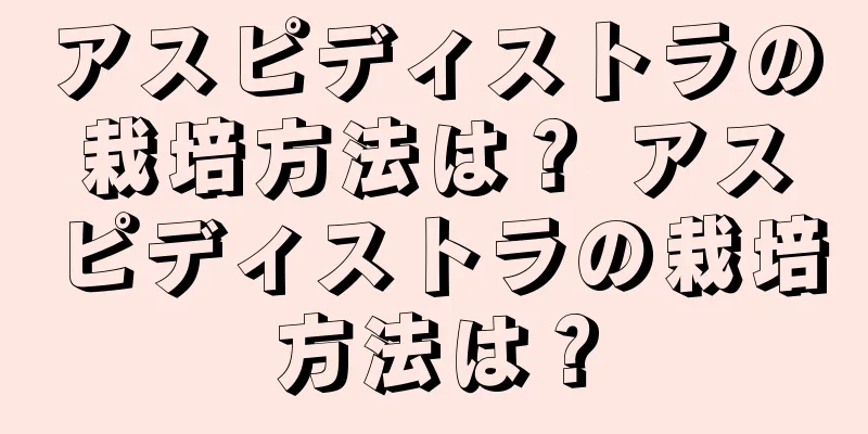アスピディストラの栽培方法は？ アスピディストラの栽培方法は？