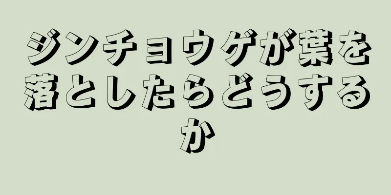 ジンチョウゲが葉を落としたらどうするか