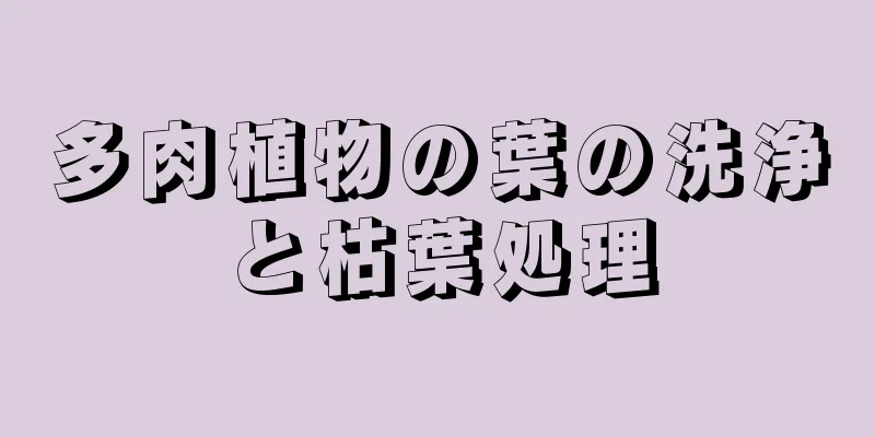 多肉植物の葉の洗浄と枯葉処理