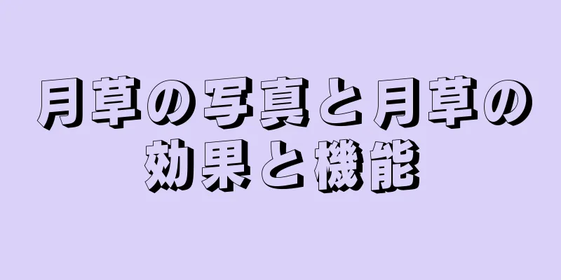 月草の写真と月草の効果と機能