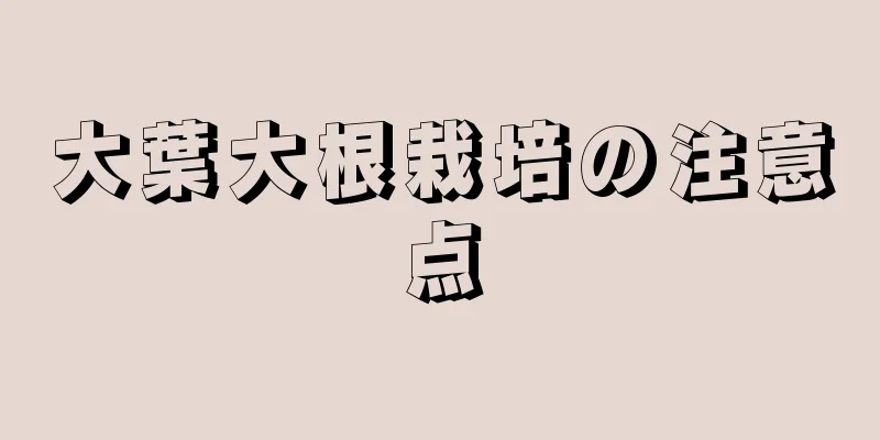 大葉大根栽培の注意点