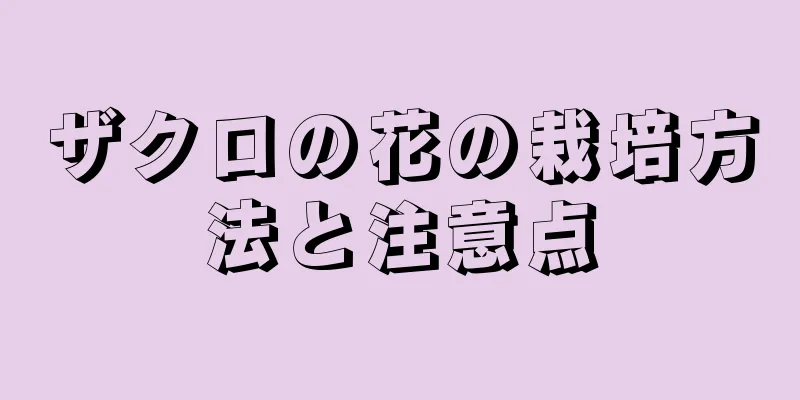ザクロの花の栽培方法と注意点