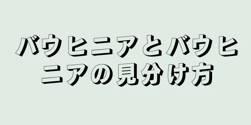 バウヒニアとバウヒニアの見分け方