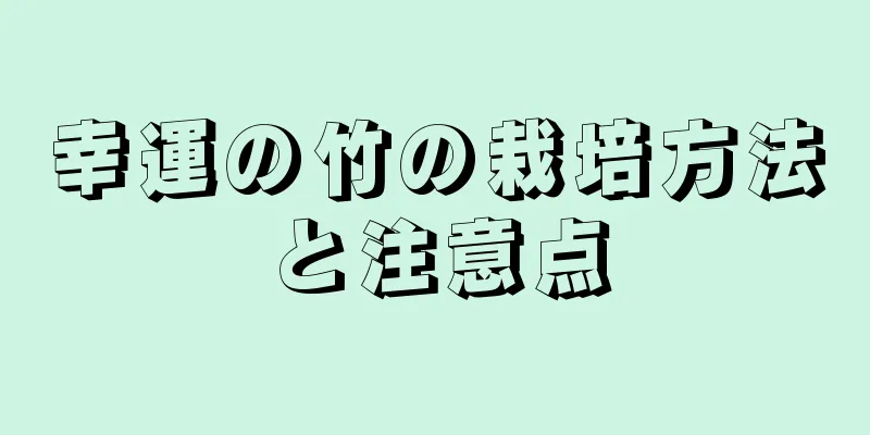 幸運の竹の栽培方法と注意点