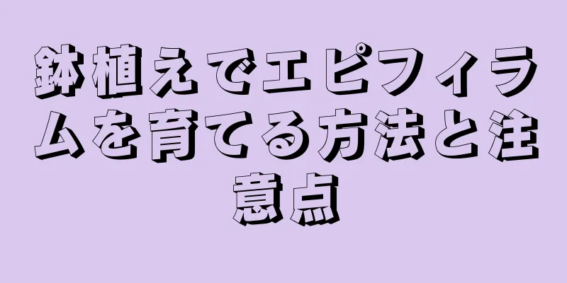 鉢植えでエピフィラムを育てる方法と注意点