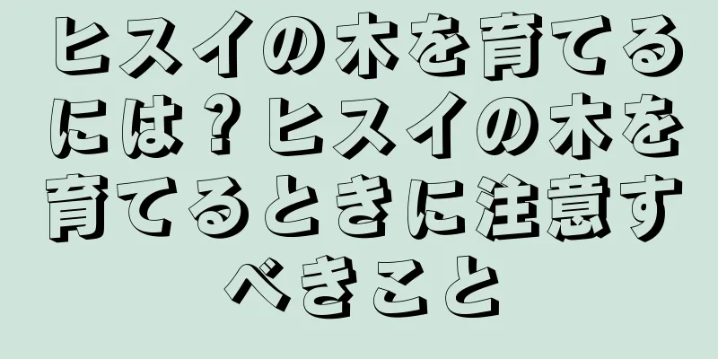 ヒスイの木を育てるには？ヒスイの木を育てるときに注意すべきこと