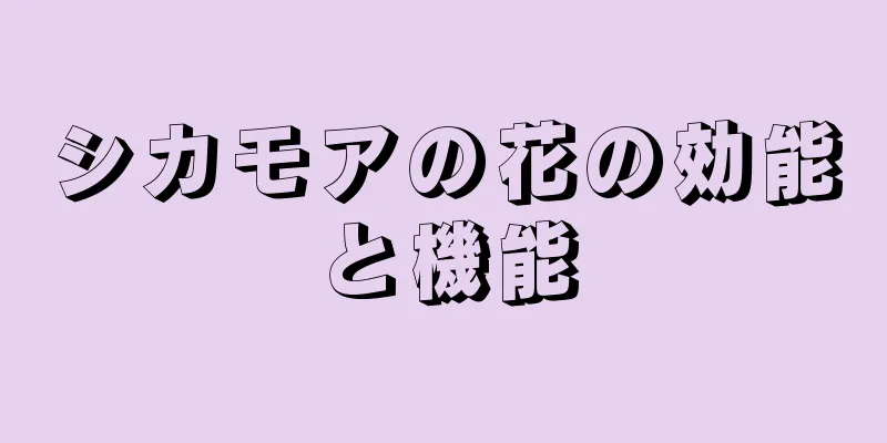シカモアの花の効能と機能