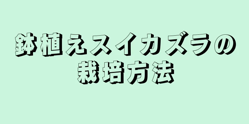 鉢植えスイカズラの栽培方法