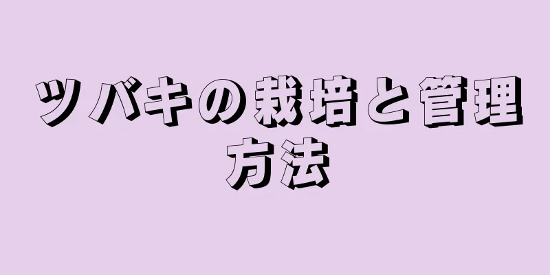 ツバキの栽培と管理方法