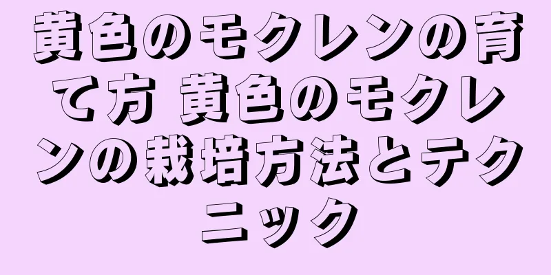 黄色のモクレンの育て方 黄色のモクレンの栽培方法とテクニック