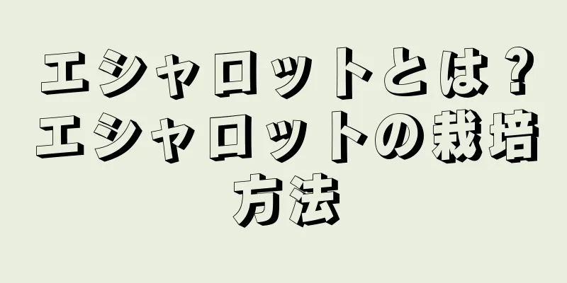 エシャロットとは？エシャロットの栽培方法