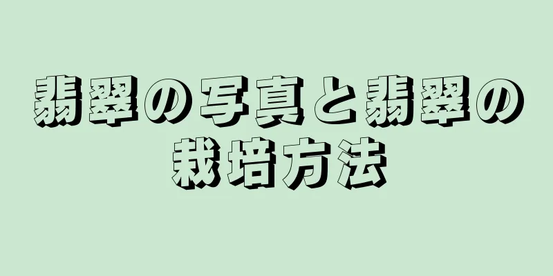 翡翠の写真と翡翠の栽培方法