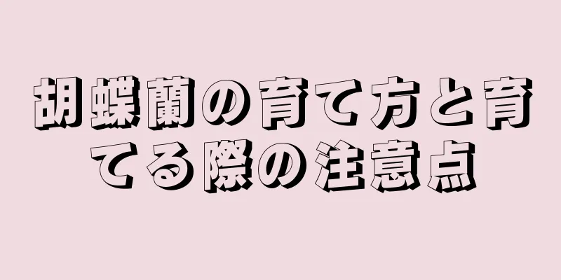 胡蝶蘭の育て方と育てる際の注意点