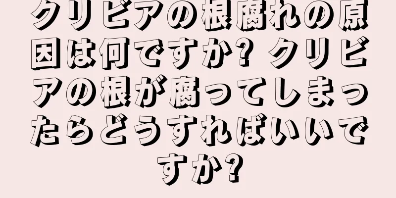 クリビアの根腐れの原因は何ですか? クリビアの根が腐ってしまったらどうすればいいですか?