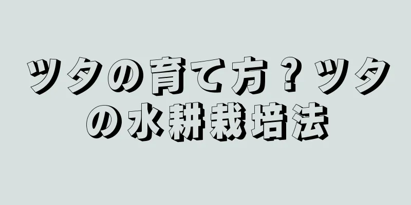 ツタの育て方？ツタの水耕栽培法